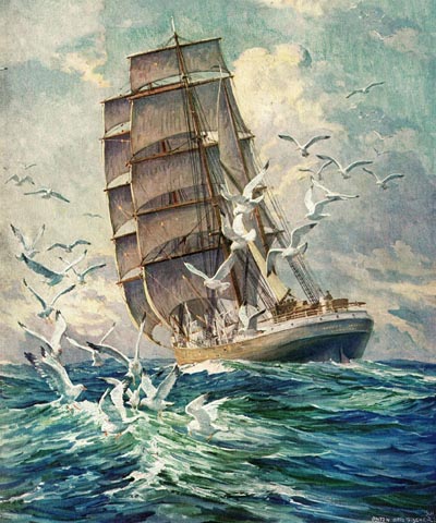 Ship and Gulls